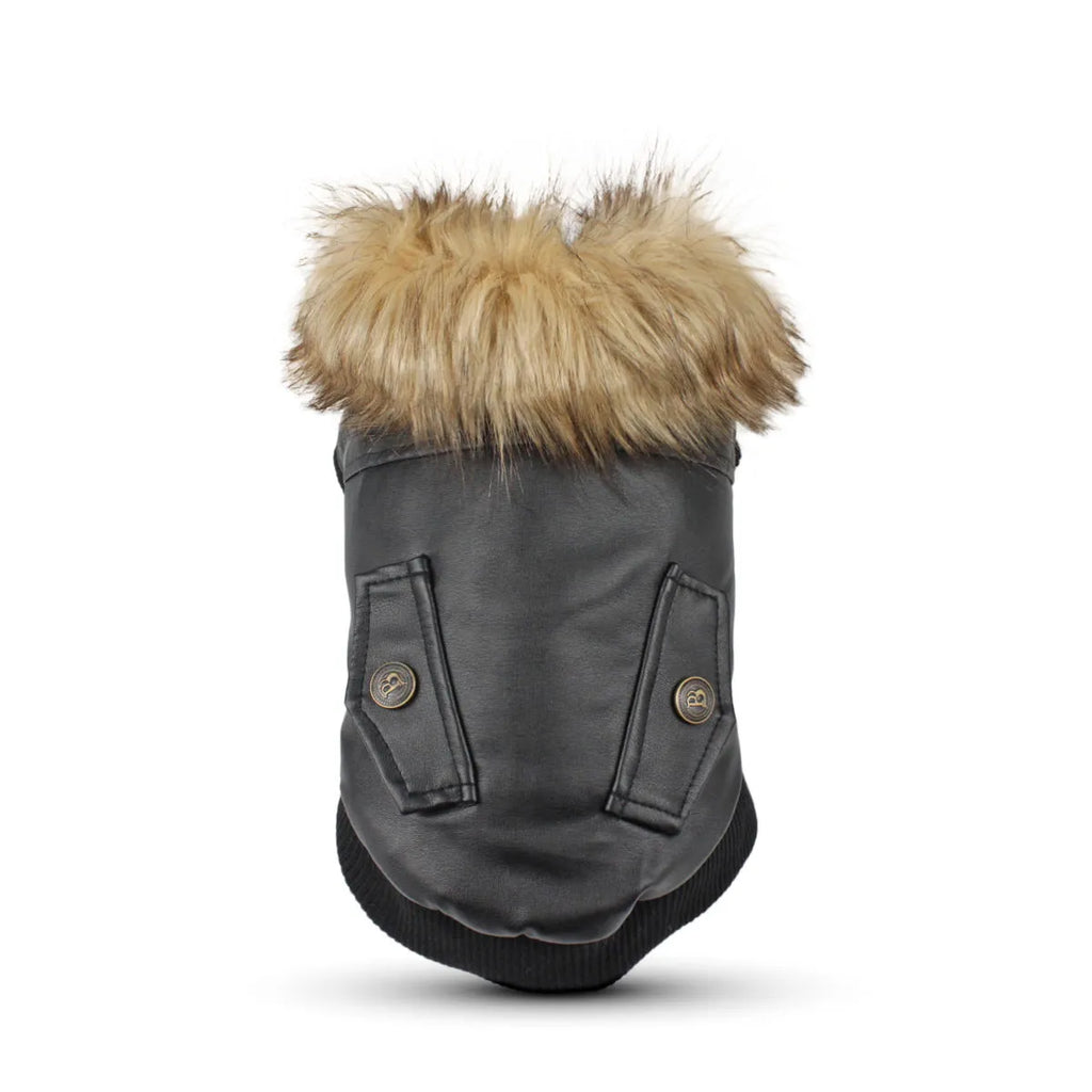 British-style leather dog coat with fur collar in black colour shown on medium-sized dog