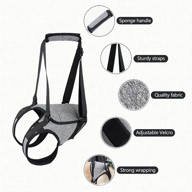 Grey neoprene dog hind leg recovery support belt shown on size chart