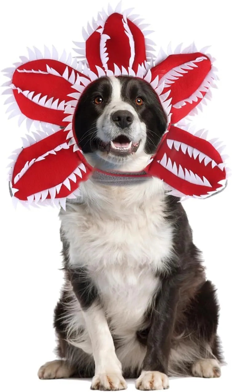 Medium dog demon horn costume headband with black plastic horns and red flower for Halloween