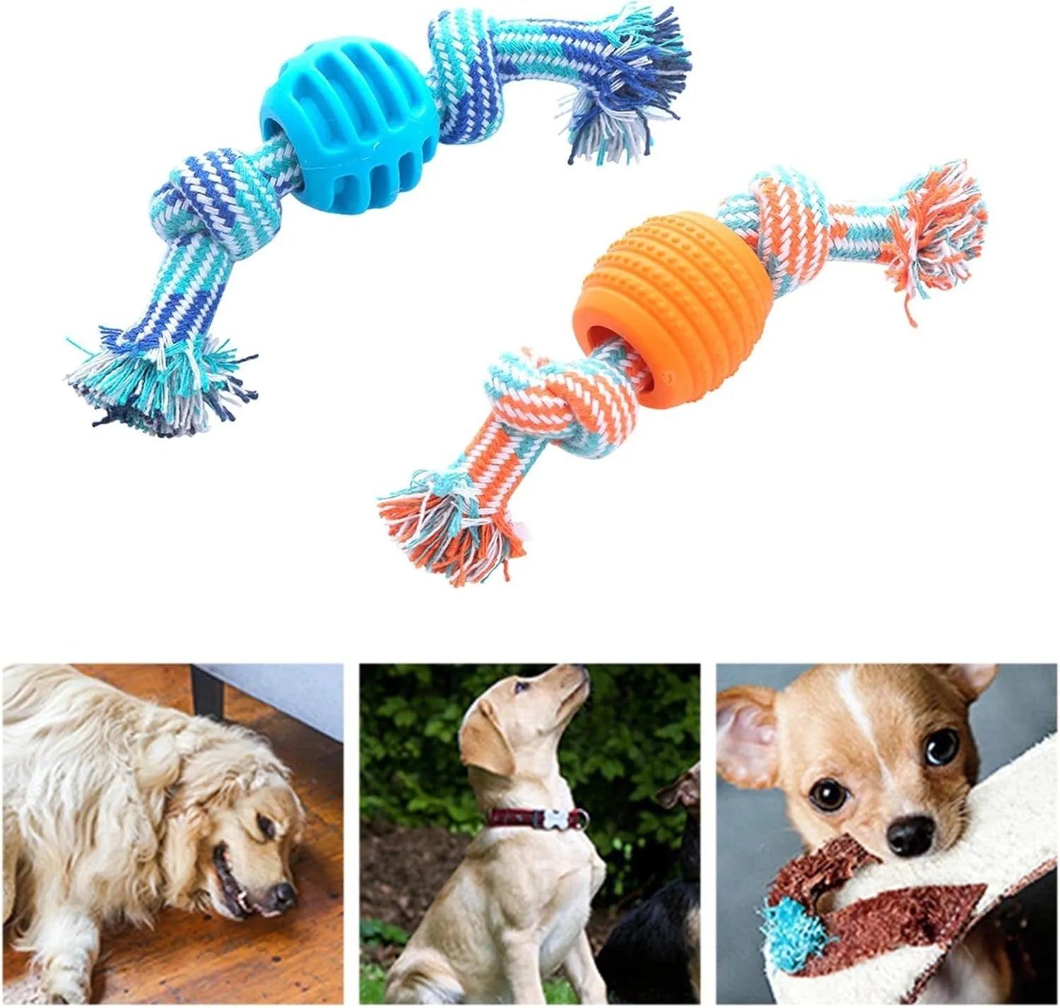 Blue molar-shaped dog chew toy with an integrated rope for dental care and play.