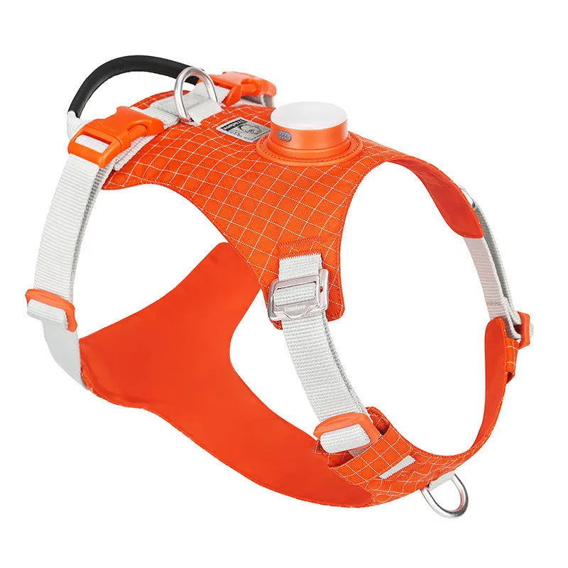 LED dog chest harness with night light in six colour options on adjustable nylon straps
