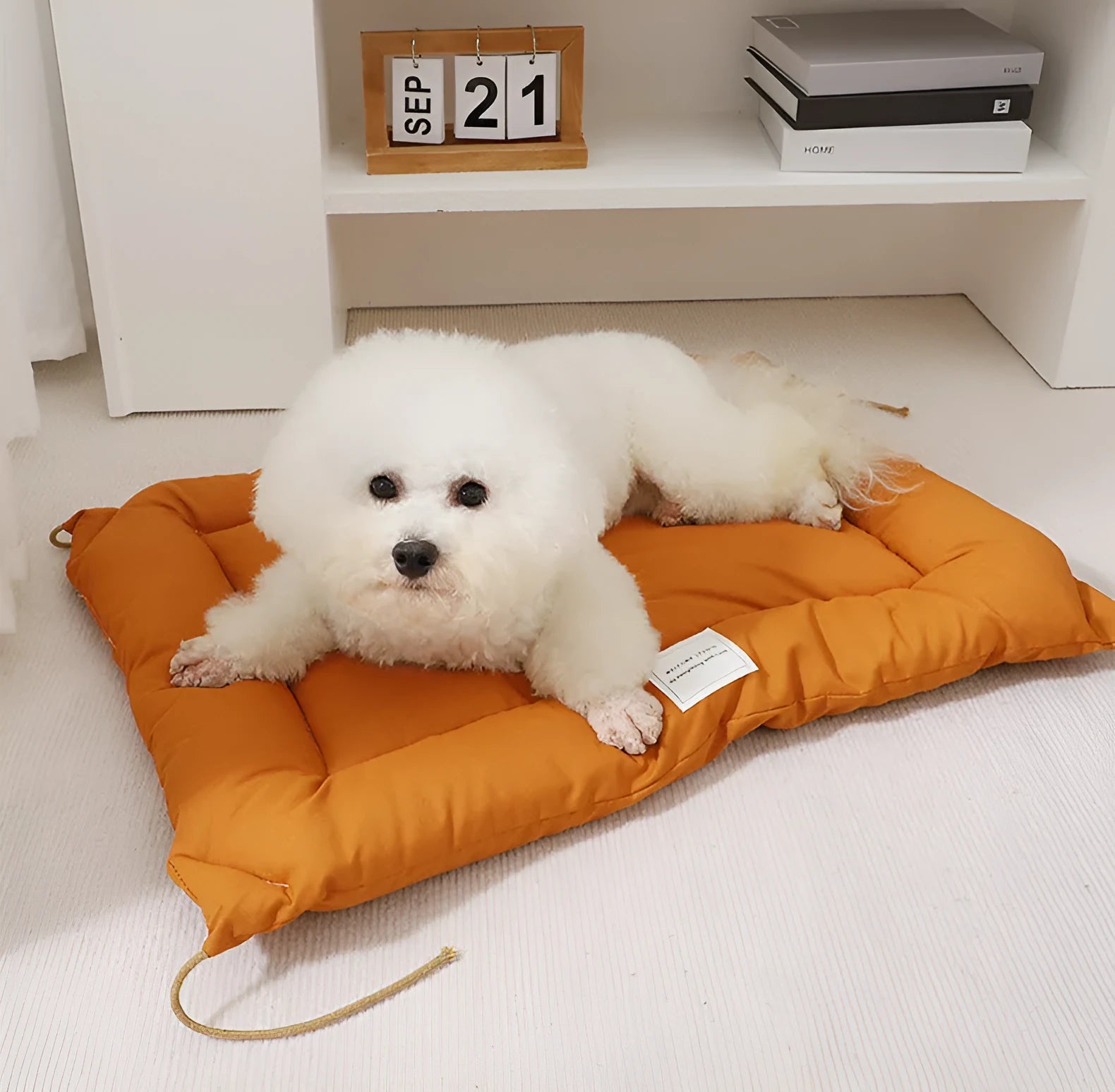Tied cage cushion pet nest in beige, coffee or orange colours showing four size options for small dogs and cats