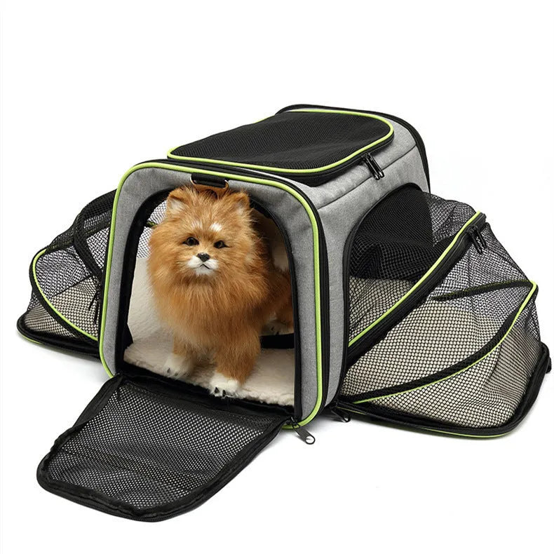 Black 600D cation fabric cat carrier bag with red piping shown in large size