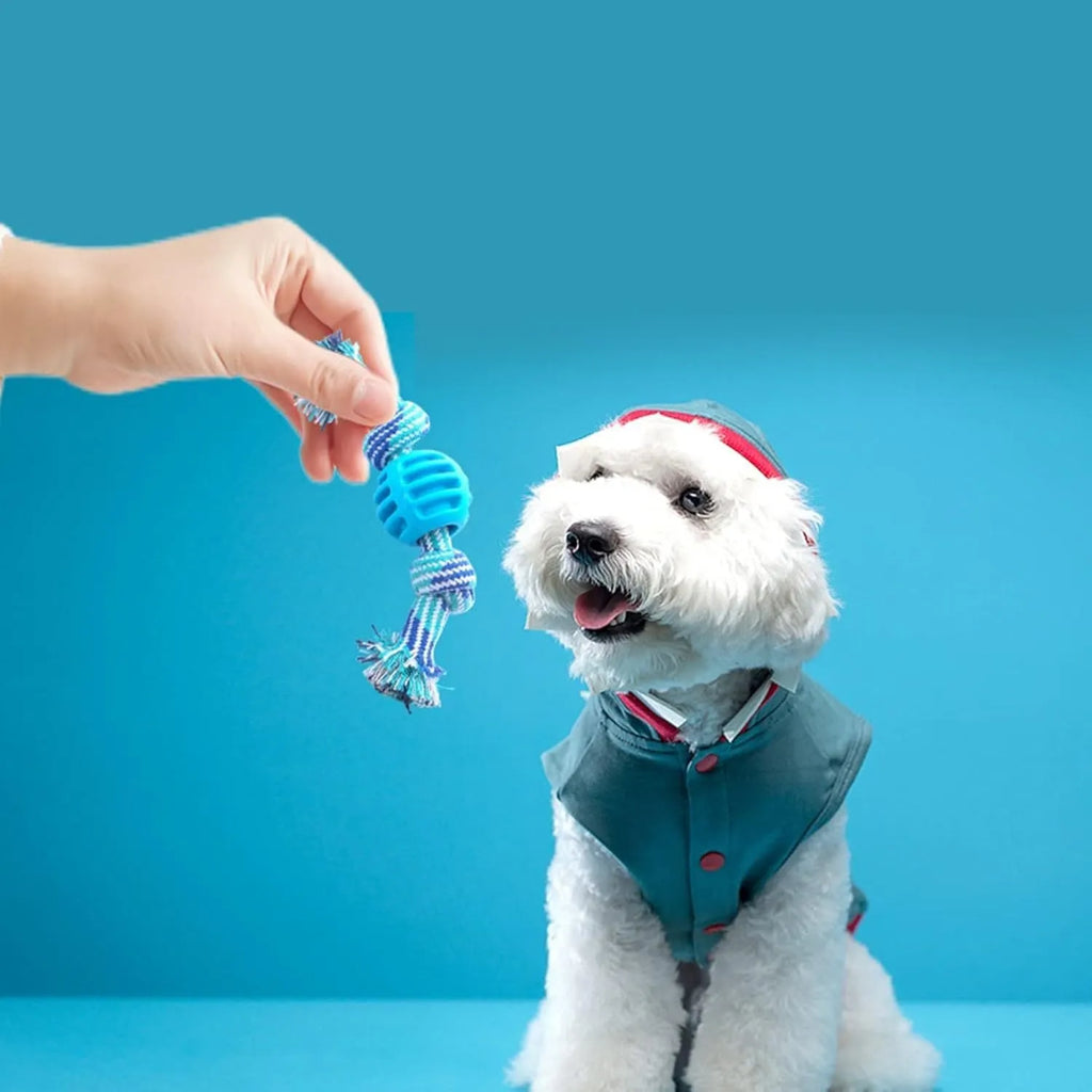 Blue molar-shaped dog chew toy with an integrated rope for dental care and play.