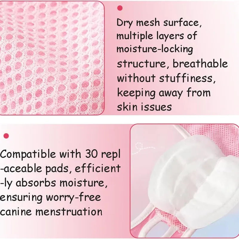 Washable reusable dog physiological pants for female dogs in heat – leakproof breathable pet diaper in pink with reinforcing pads
