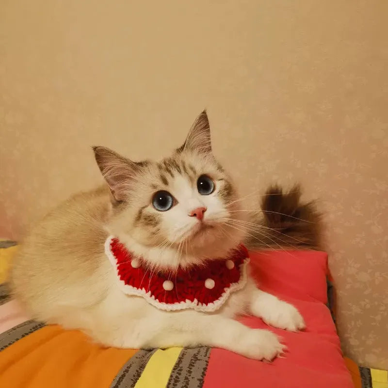 Customisable milk cotton knitted pet collar with cartoon pattern for small dogs, cats and rabbits