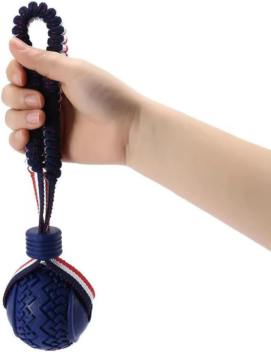 Blue rubber dog ball attached to a rope, a tug and fetch toy for small dogs.