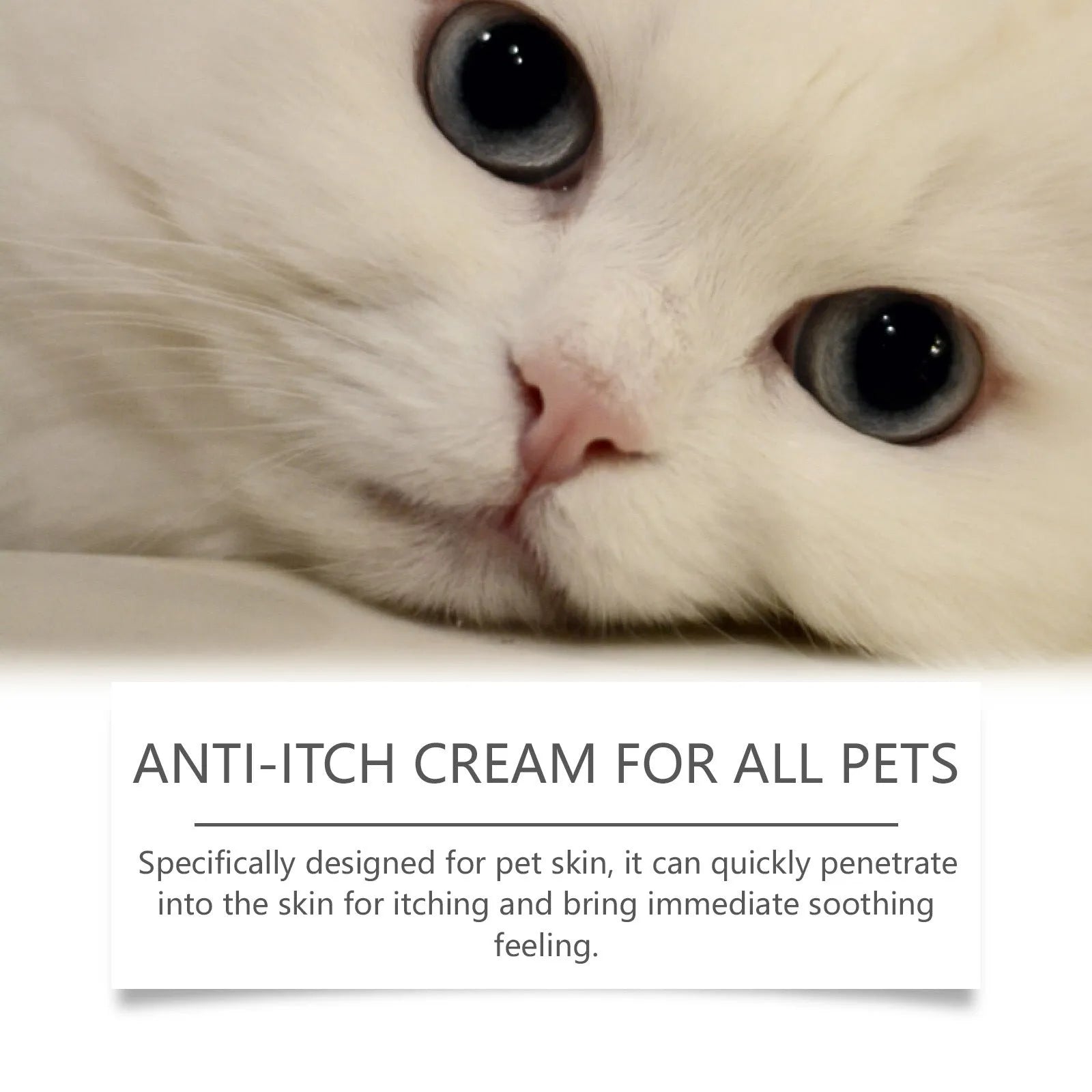 60g pot of natural pet itch relieving cream for cats and dogs with tea tree oil and aloe vera.