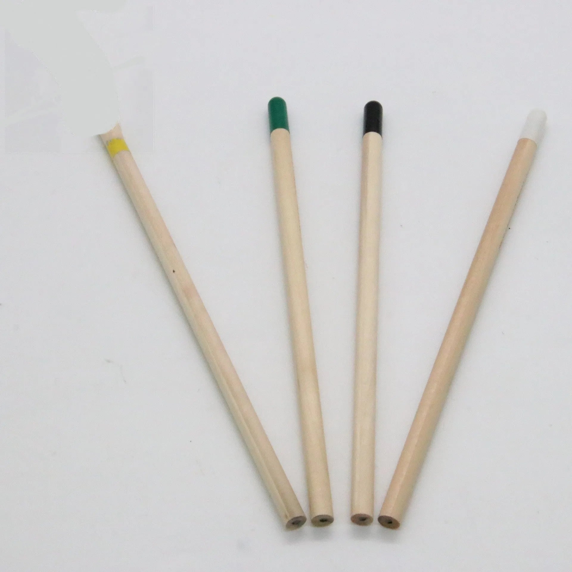 Seed Pencil with coloured degradable capsule tip containing a plant seed, alongside HB refill.