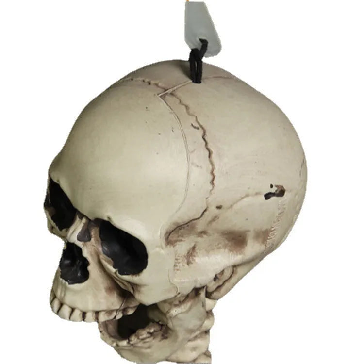 170 cm tall realistic plastic skeleton prop with detailed skull and bones
