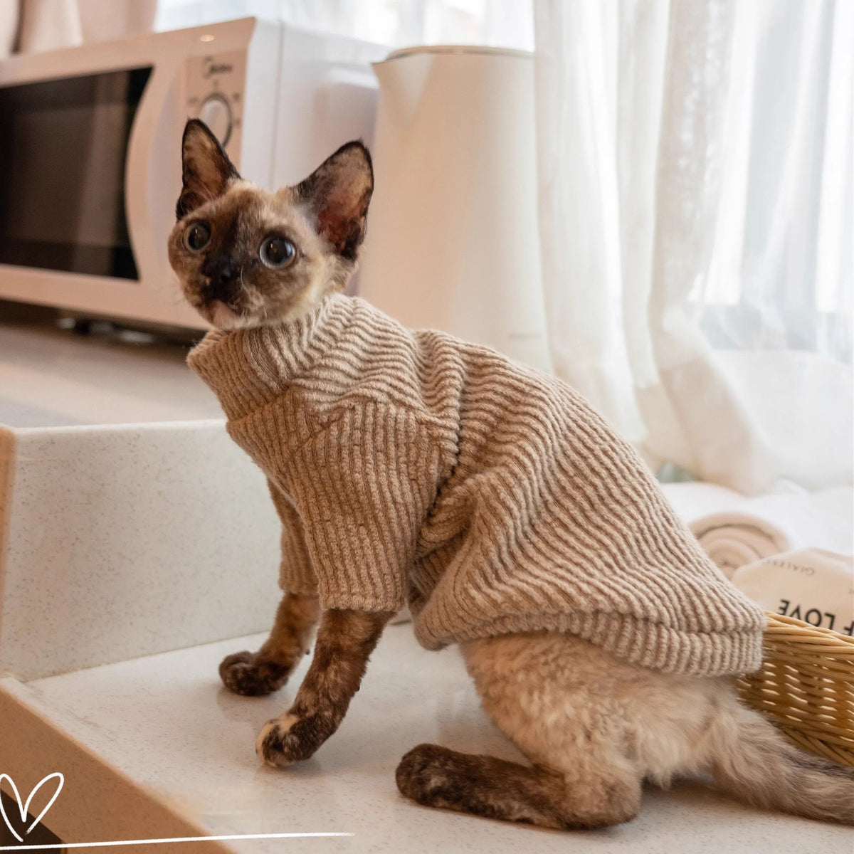 Plush lambswool buckle cat vest in brown or milk coffee, sizes S to XXXL+ for cats 1kg to 7.25kg