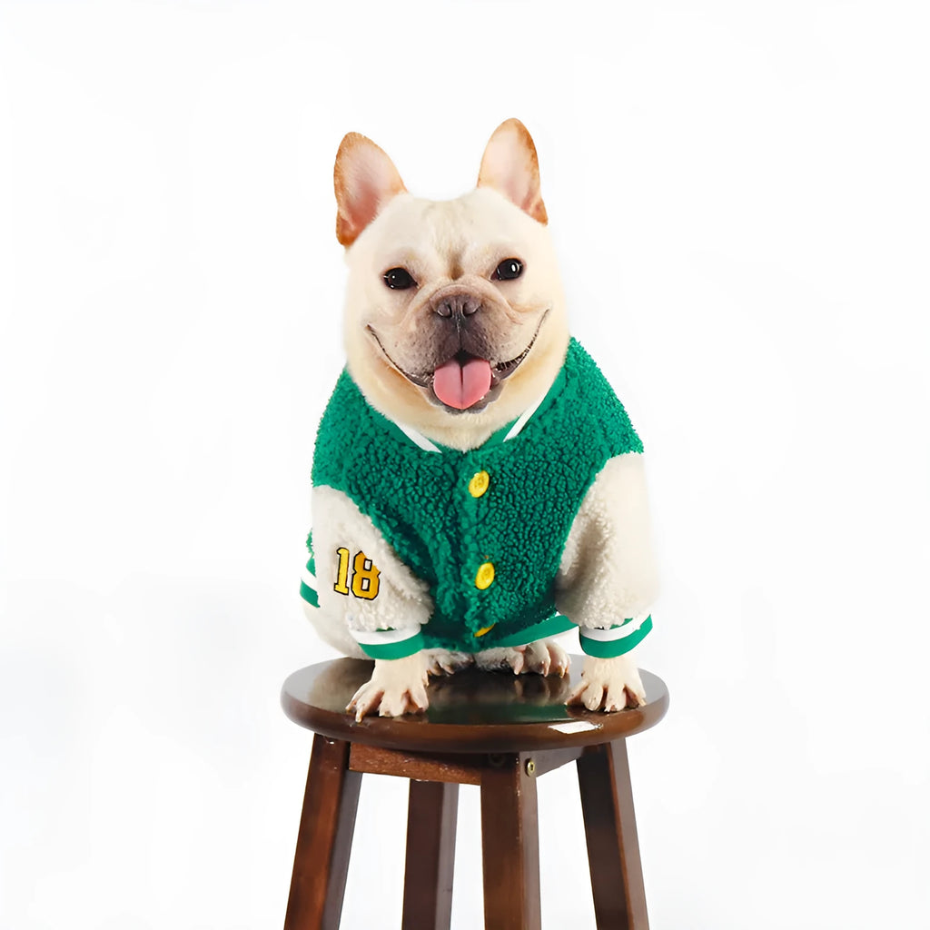Green fleece-lined cotton winter coat for a dog on a size chart showing L, XL, XXL, 3XL, and 4XL.