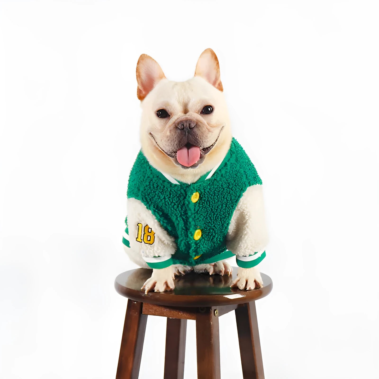 Green fleece-lined cotton winter coat for a dog on a size chart showing L, XL, XXL, 3XL, and 4XL.