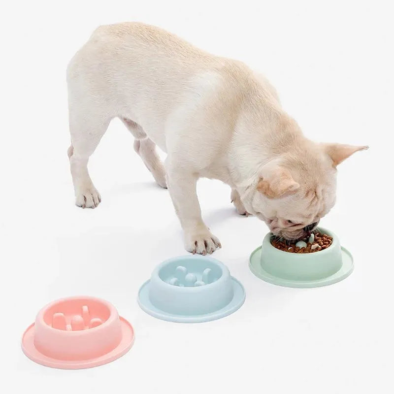 Blue slow feeder dog bowl with raised obstacles and non-slip base for small medium dogs