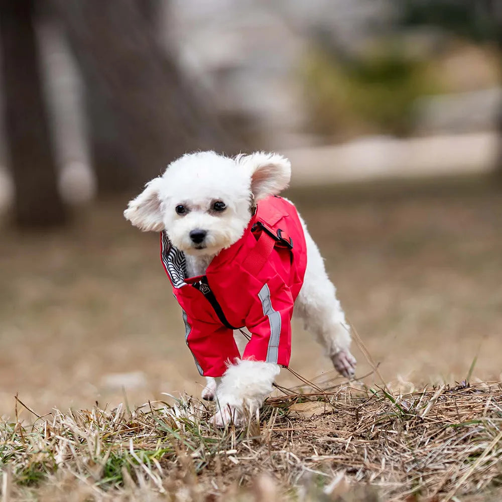 Pet waterproof raincoat in British style, polyester, khaki colour, for small to large dogs