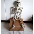 170 cm tall realistic plastic skeleton prop with detailed skull and bones