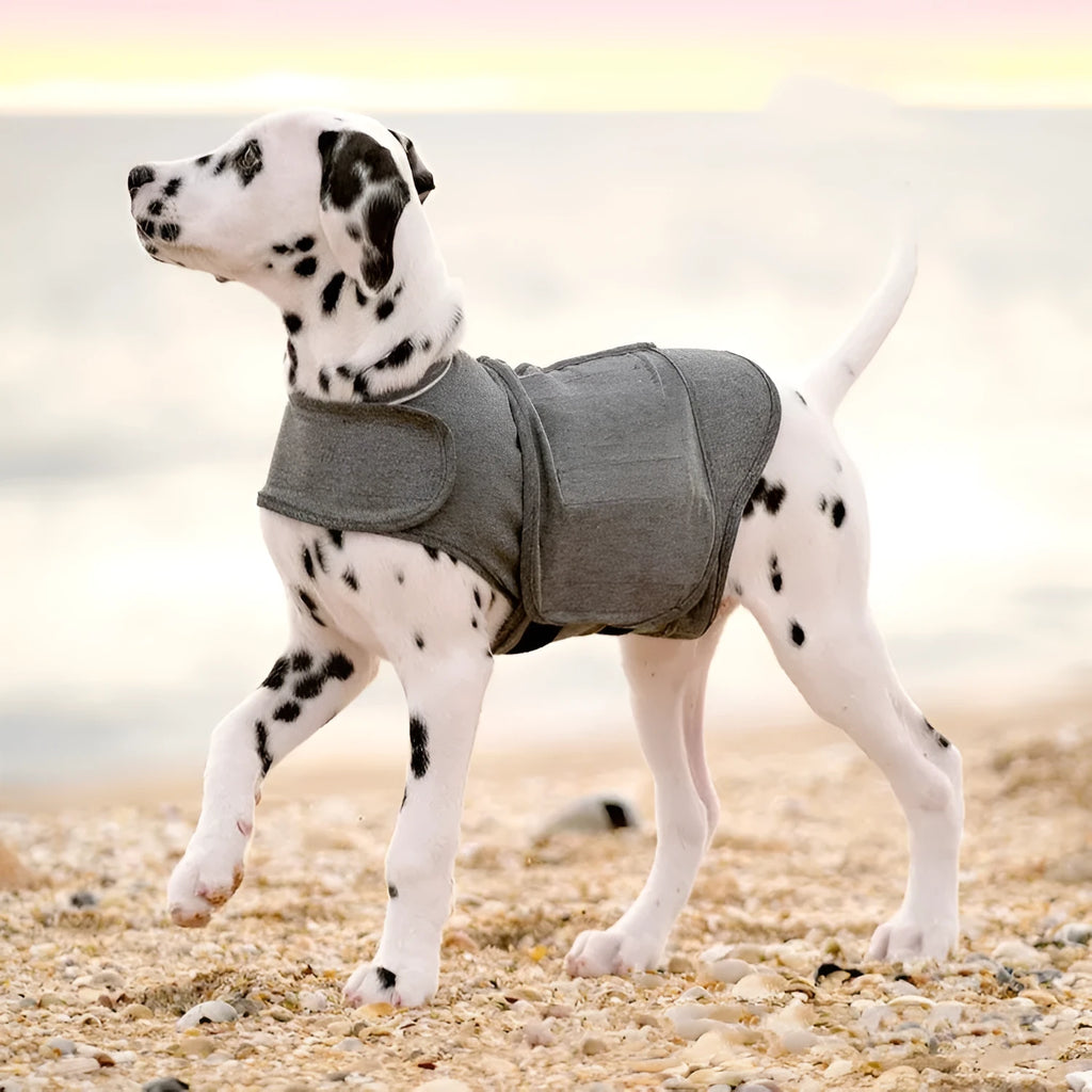 Heather Grey dog anxiety jacket warm vest in brocade cotton fabric on a mannequin.