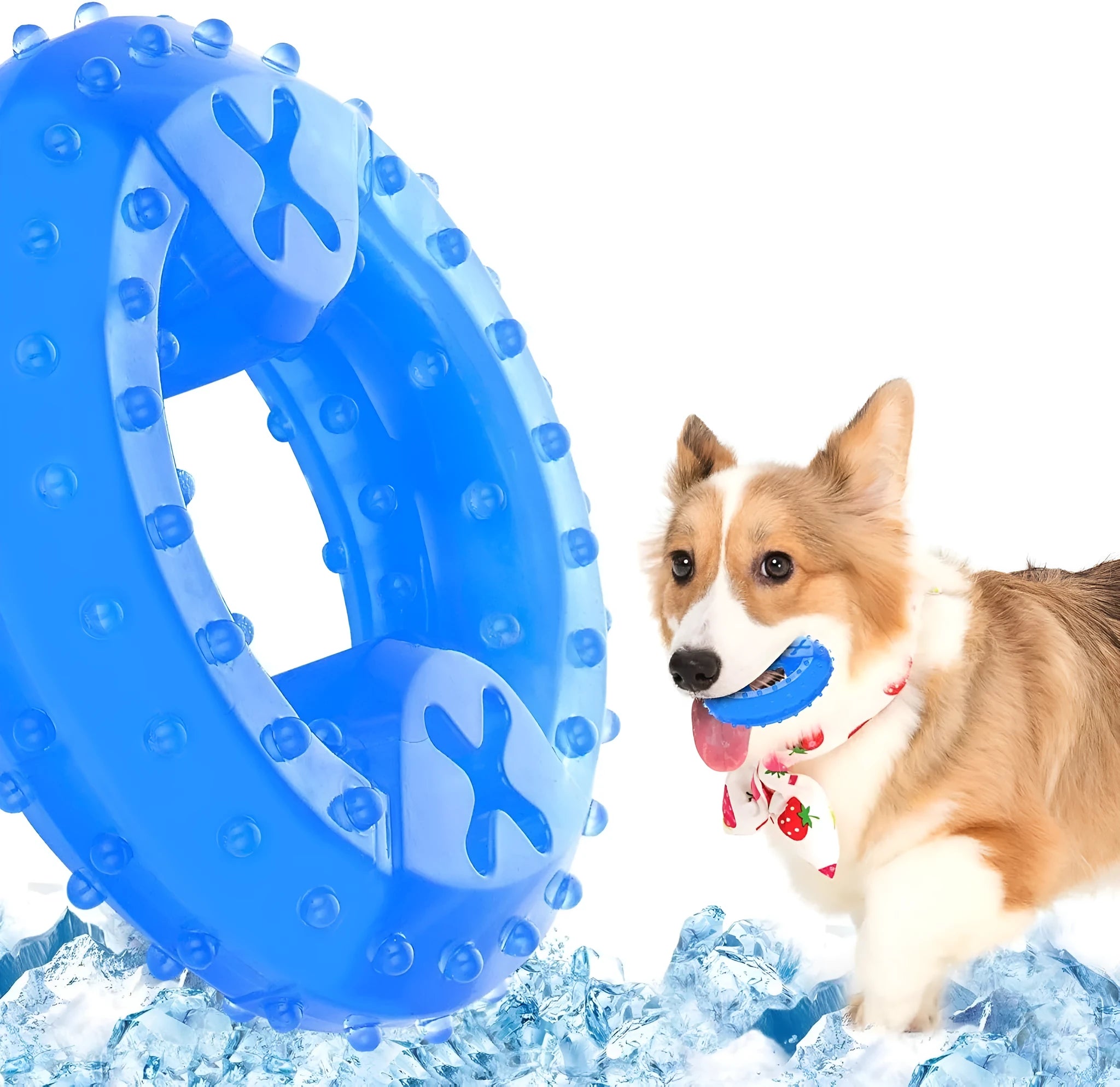 A freezable bone-shaped and circle-shaped dog chew toy designed for cooling and teething relief.