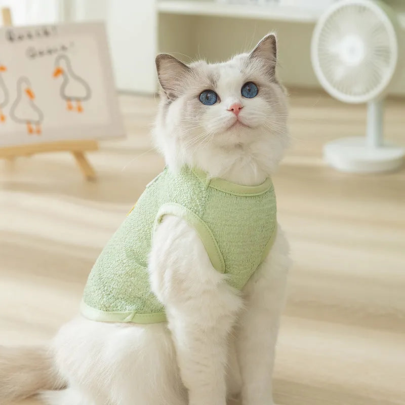 Green knitted cat clothing with a cartoon bear patch, showing hollowed-out breathable fabric.