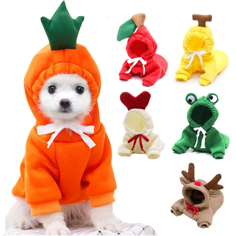 Cute fruit dog hoodie with drawstring apple design on a small Chihuahua, warm winter fleece coat in soft cloth fabric