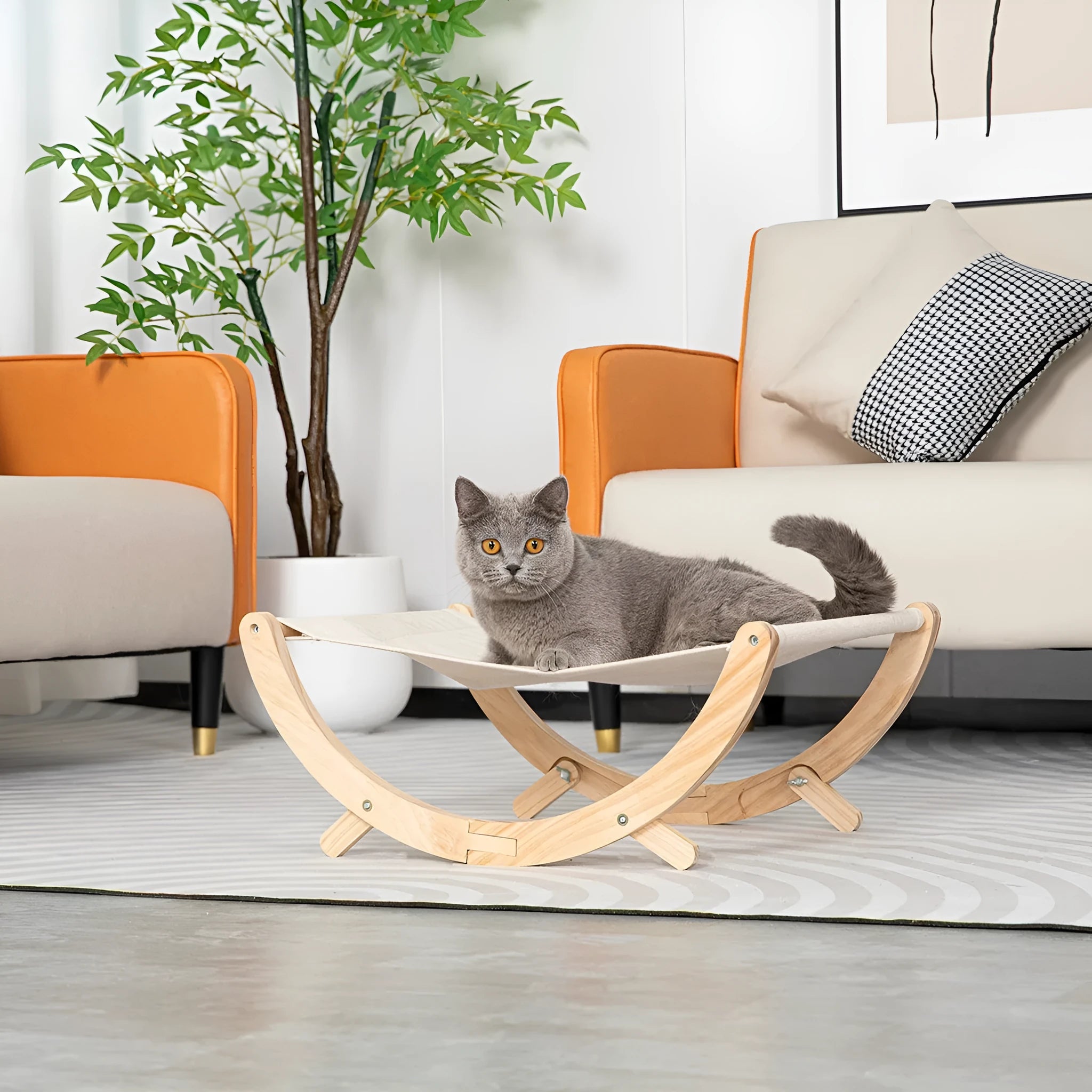 Solid wood foldable cat hammock bed with canvas plush cushion for indoor cats