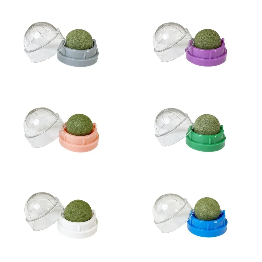 Plastic catnip ball toy in assorted colours for molar teeth cleaning and bite-resistant play.