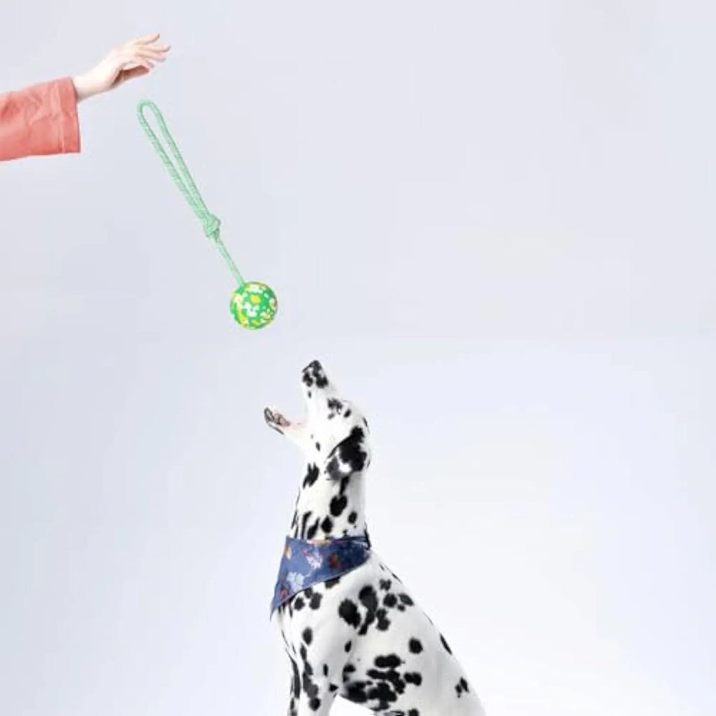 Natural rubber dog ball attached to a blue nylon rope for fetch and tug toys.