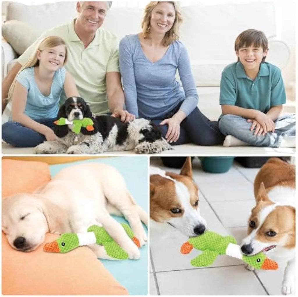 Blue, green, or grey duck-shaped plush dog toy with two squeakers.