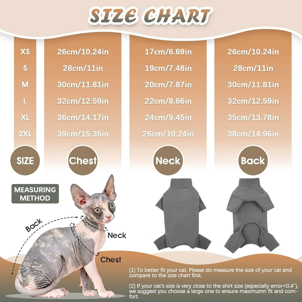 Grey sphynx cat wearing soft turtleneck sweater with two leg openings for winter warmth