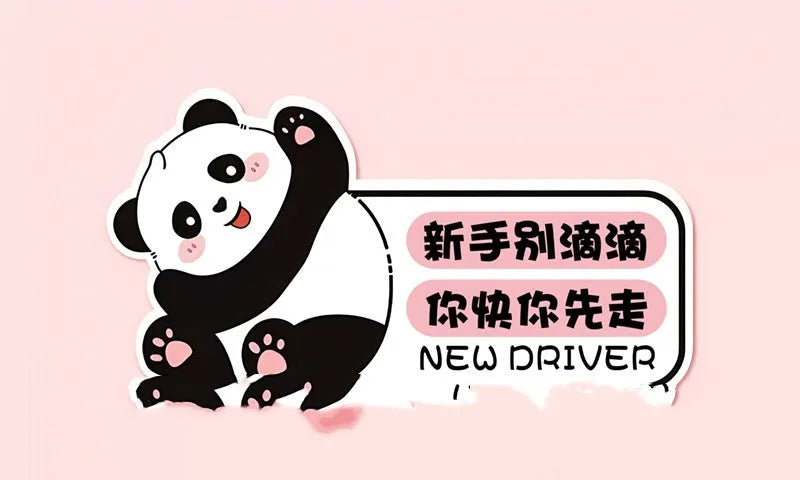 Reflective beginner driver car sticker with bear design for female motorists measuring 23 by 12 centimetres