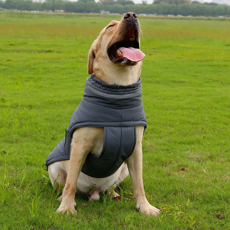 Grey waterproof warm dog trench coat for Corgi, back length 48 cm size L, on white background