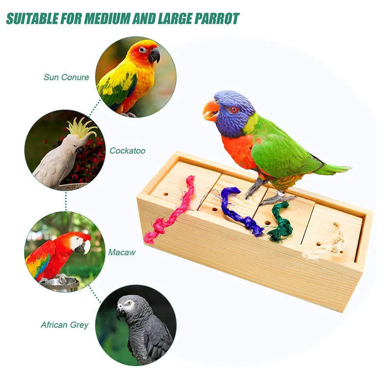 Wooden parrot puzzle toy set for small to medium birds with interactive foraging design