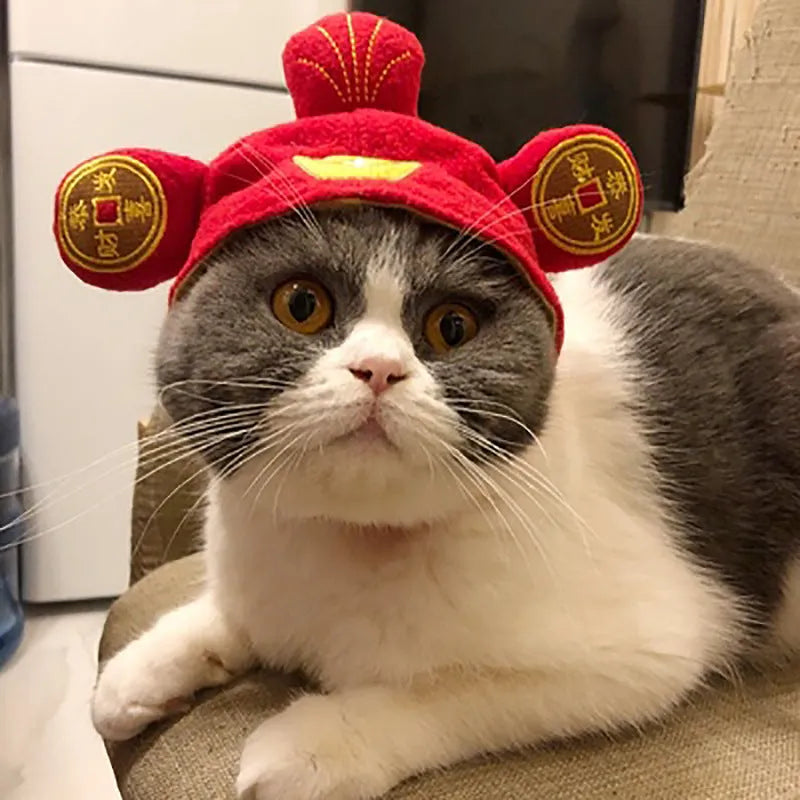 Sunflower cat headdress wig hat embroidered cloth pet costume accessory