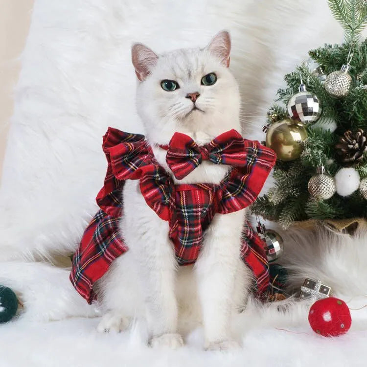 Red tartan Christmas skirt and matching head flower on a pet, with a jingling bell necklace accessory.