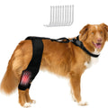 Dog leg protector knee brace with auxiliary belt for joint protection in small medium and large sizes