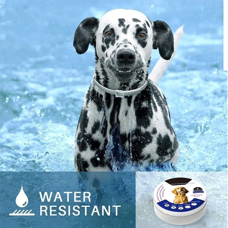 Gray plastic waterproof adjustable insect repellent collar 70cm for flea and tick removal on pet