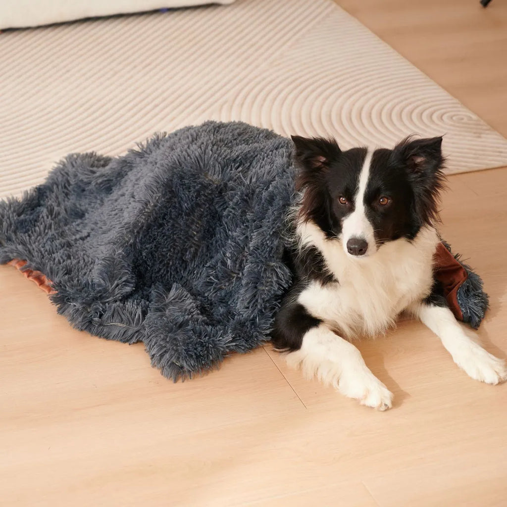 Grey velvet and plush pet blanket laid on a sofa, showing its soft texture and size.