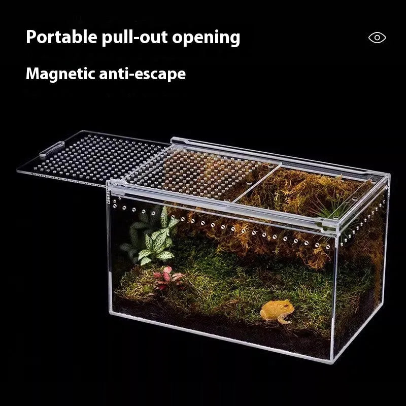 Transparent acrylic reptile feeding box showing PC construction and size options