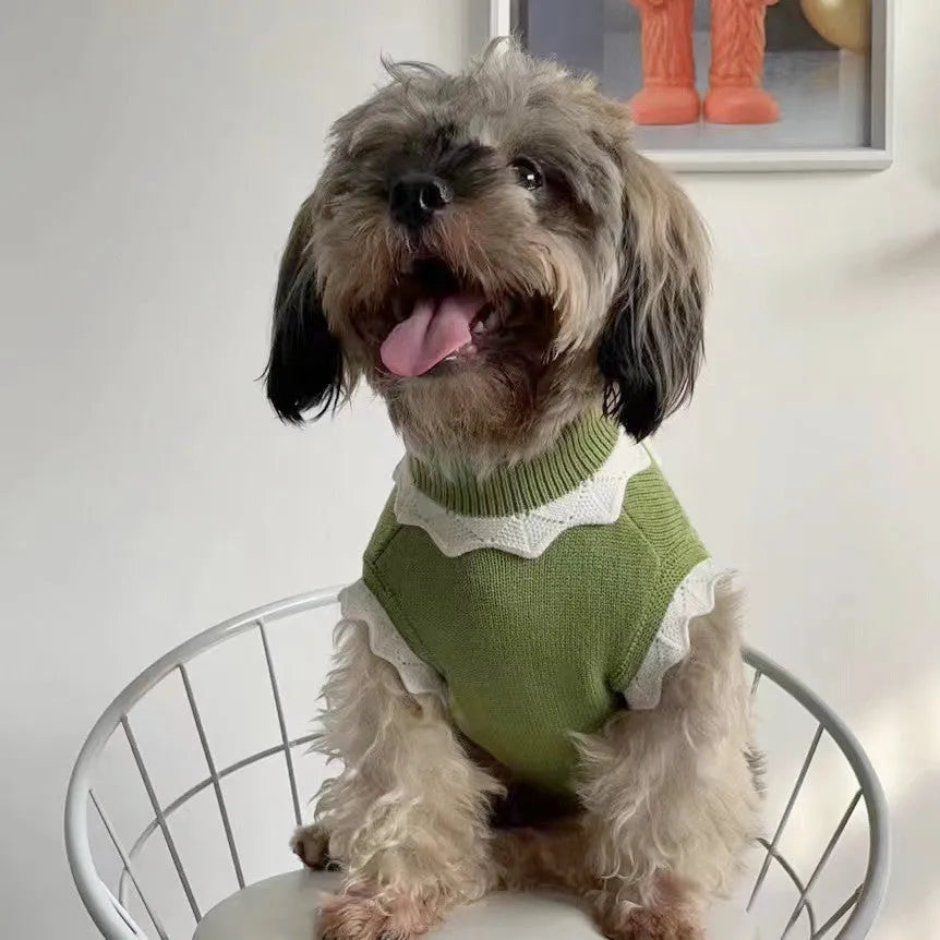 Green and pink blossom flower patterned sweater for a small dog on a sofa.