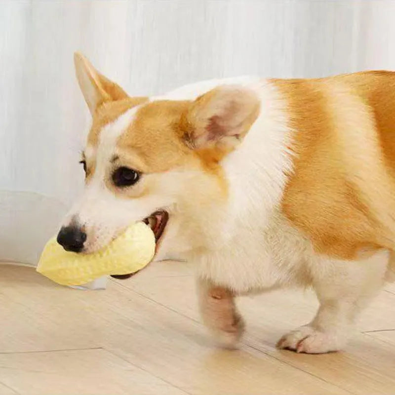 Yellow TPR peanut-shaped dog chew toy with squeaker on a white background