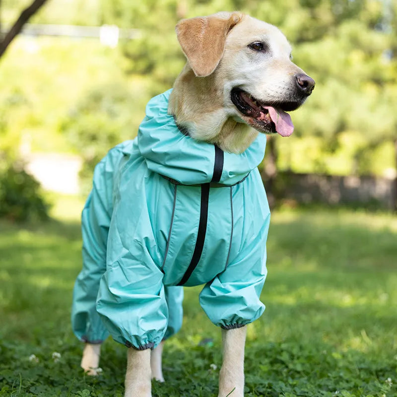 Red polyester dog shell jacket with cotton-padded insulation on a medium-sized dog outdoors