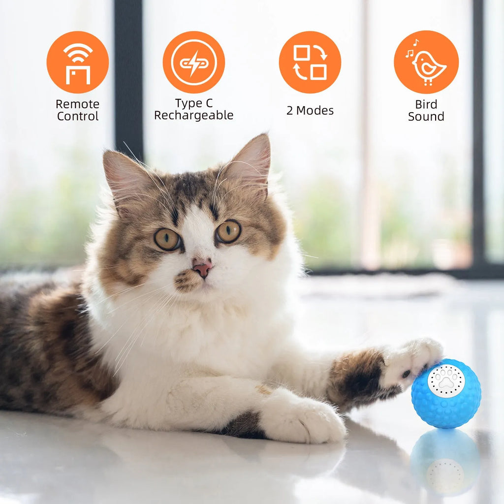 Blue remote control cat toy ball with flashing LEDs next to its handheld remote controller.