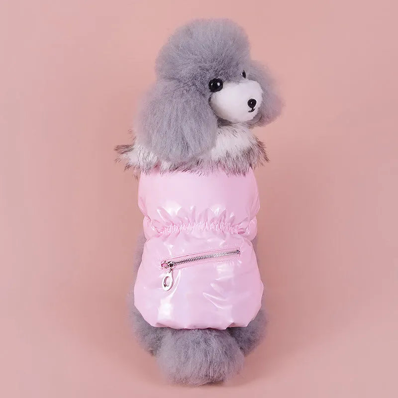 British-style blue cotton dog jacket for autumn and winter warmth on a pet