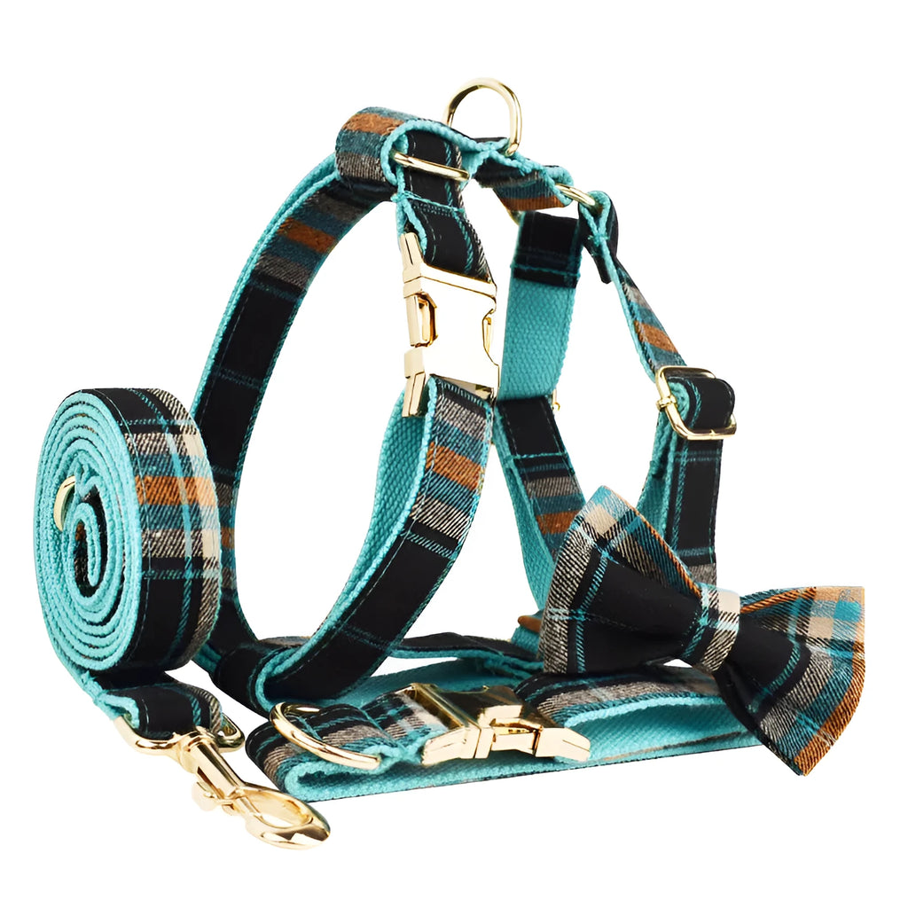 Green retro pet collar and leash set with matching dog vest and bow accessory