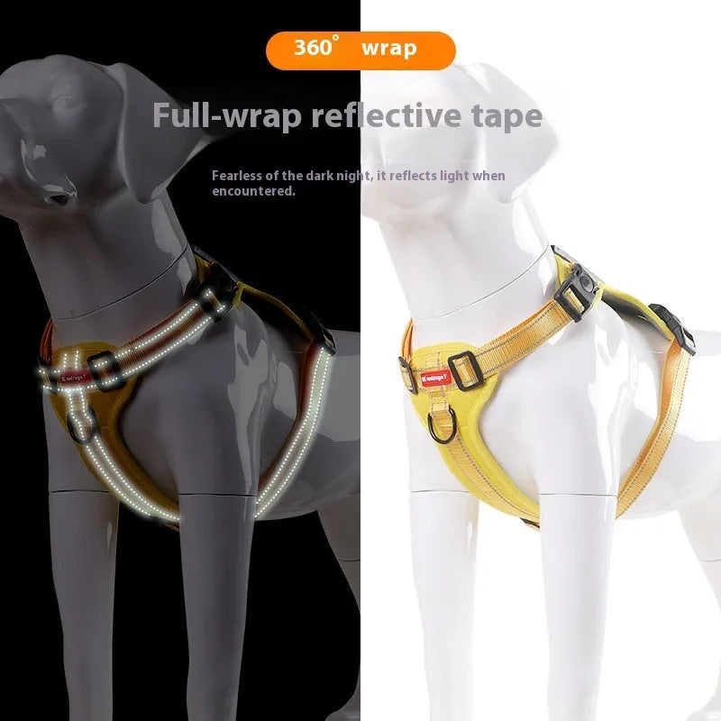 A lake blue dog harness lead with chest strap, adjusted on a medium-sized dog, showing the polyester webbing and leash.
