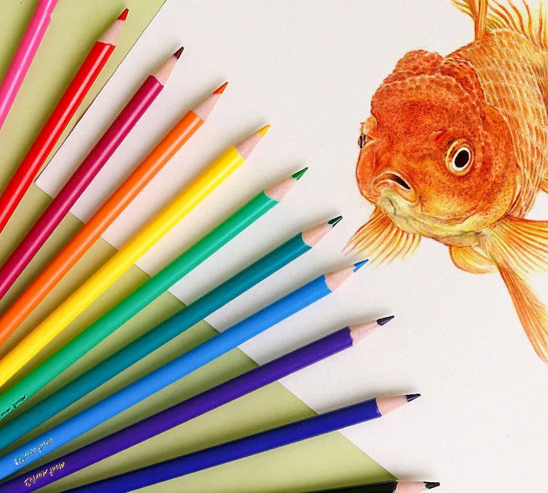 Set of 24 wooden coloured pencils in assorted colours, packaged in a cartoon-design paper box.