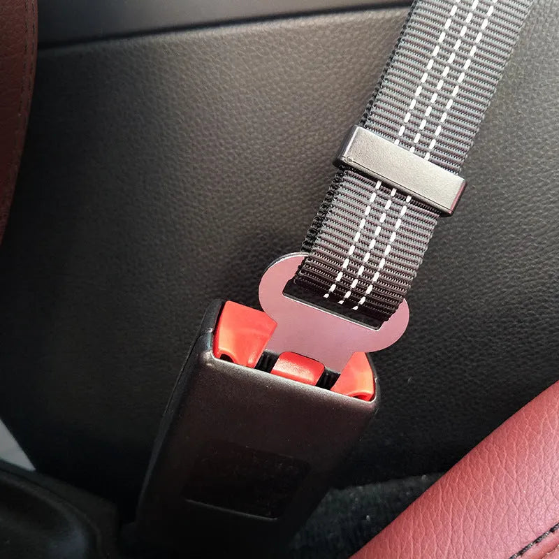 Pet elastic reflective retractable car seat belt in black polyester webbing with clip, 75cm length