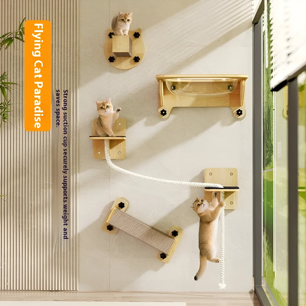 Space capsule shaped cat scratching post with sisal rope and suction cup toys attached to a window