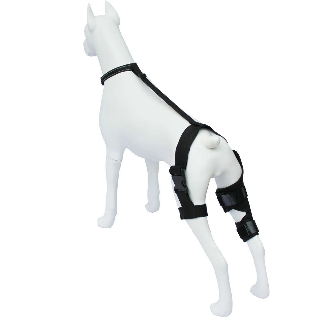 Neoprene dog hind leg knee brace assist strap shown in collar black colour, sized for medium dog.