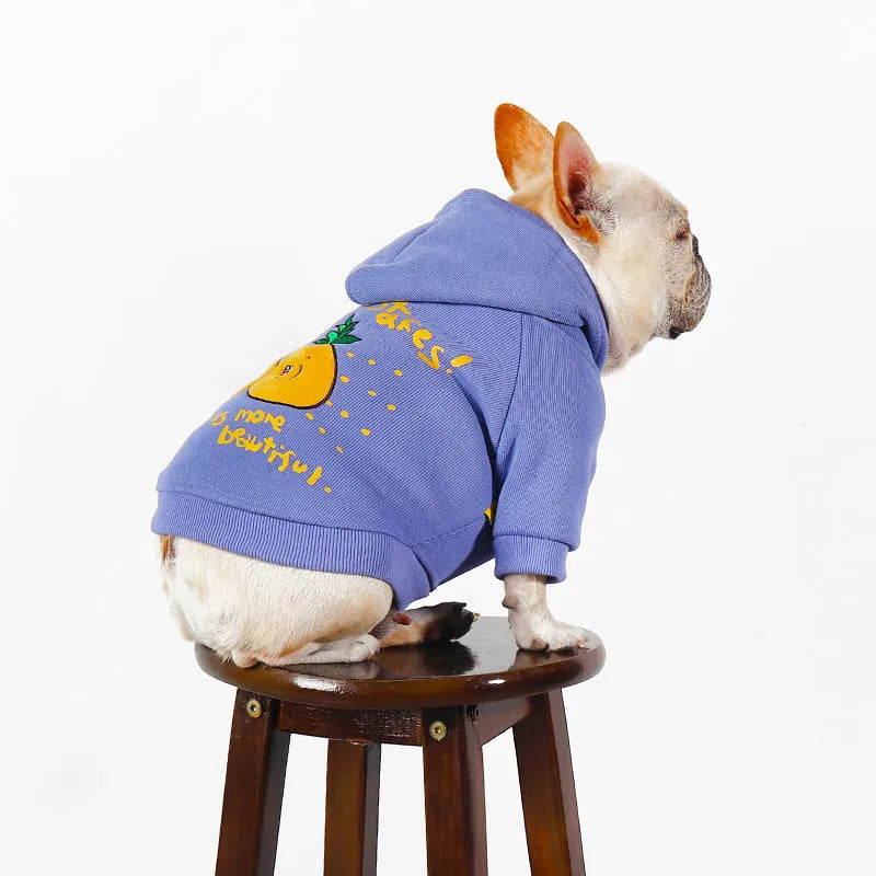 Blue and purple cartoon printed plush fleece dog hoodie with a cotton lining and a hood.